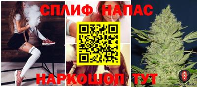 apvp Нальчик