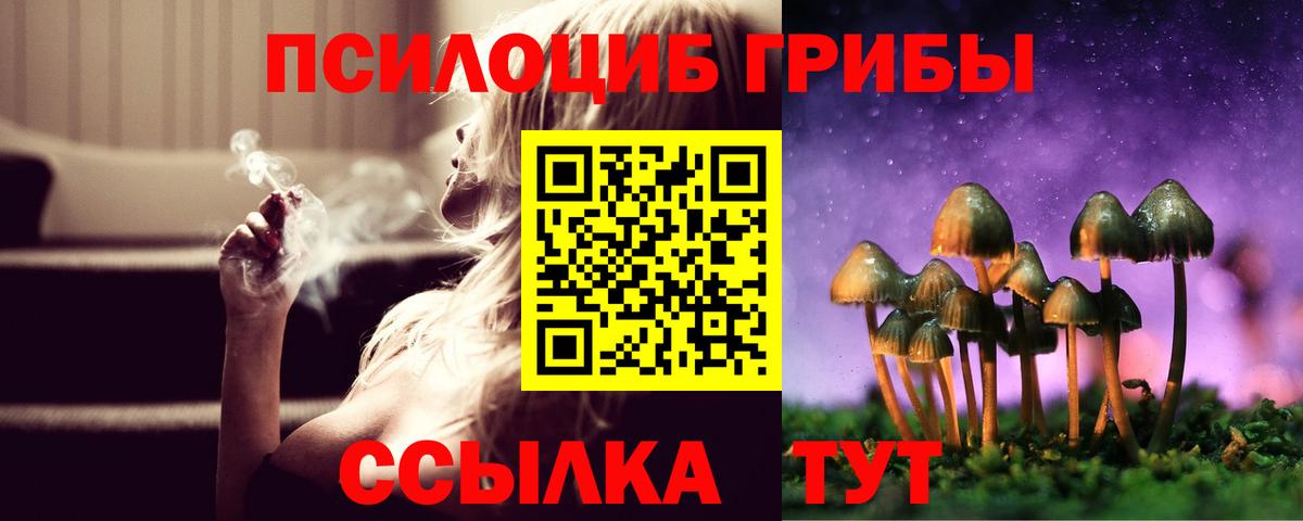Волжский  Галлюциногенные грибы Psilocybe  Вход с VPN  Псилоцибиновые грибы Cubensis 